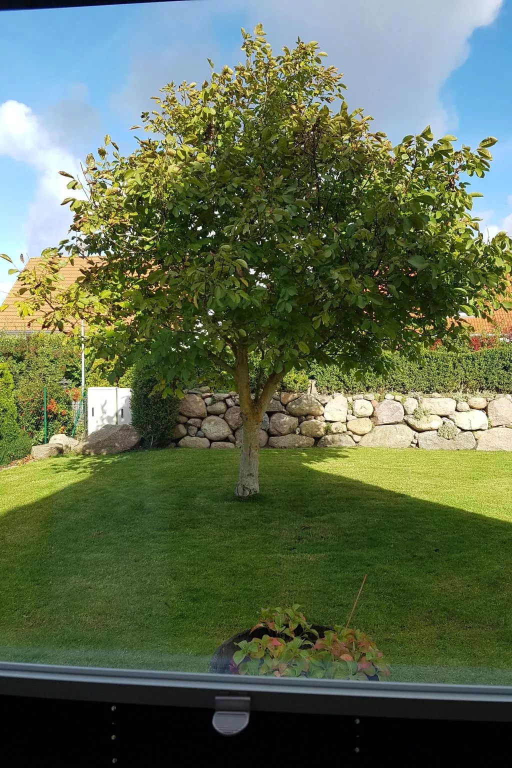 Ankerplatz in Börgerende-Rethwisch-Buiten