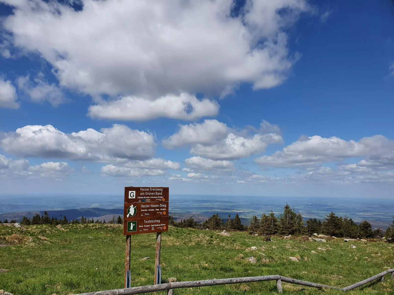 Blauvogel-Image-tags.info