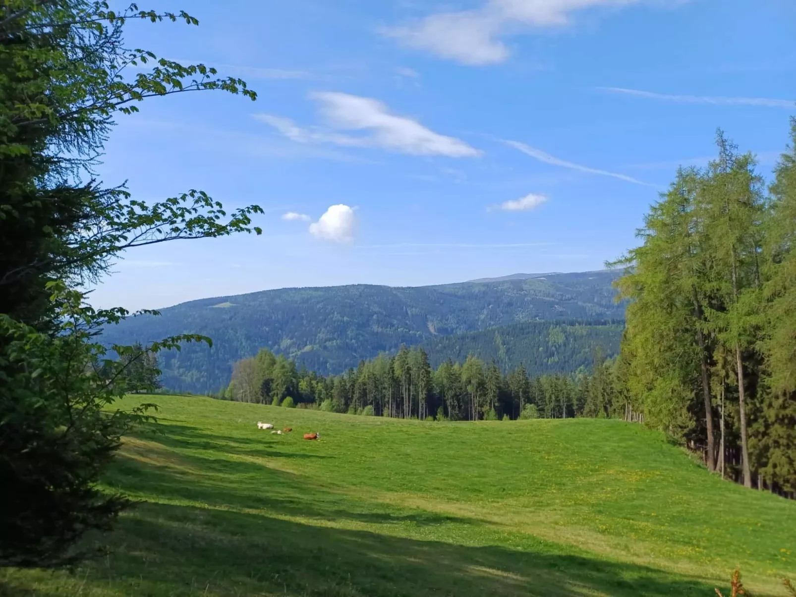 Gemütliche Almhütte direkt im Skigebiet-Buiten