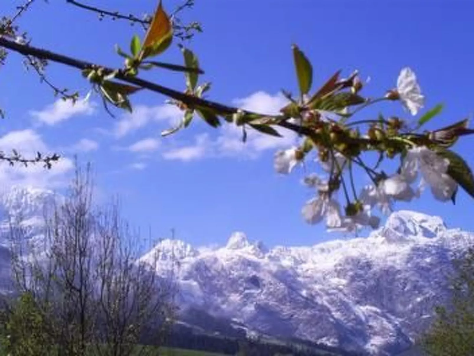 Herbst in Abtenau-Buiten