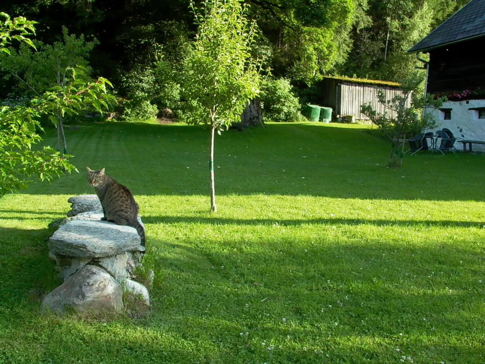 Erdgeschosswohnung in 320 Jahre altem Haus-Image-tags.info