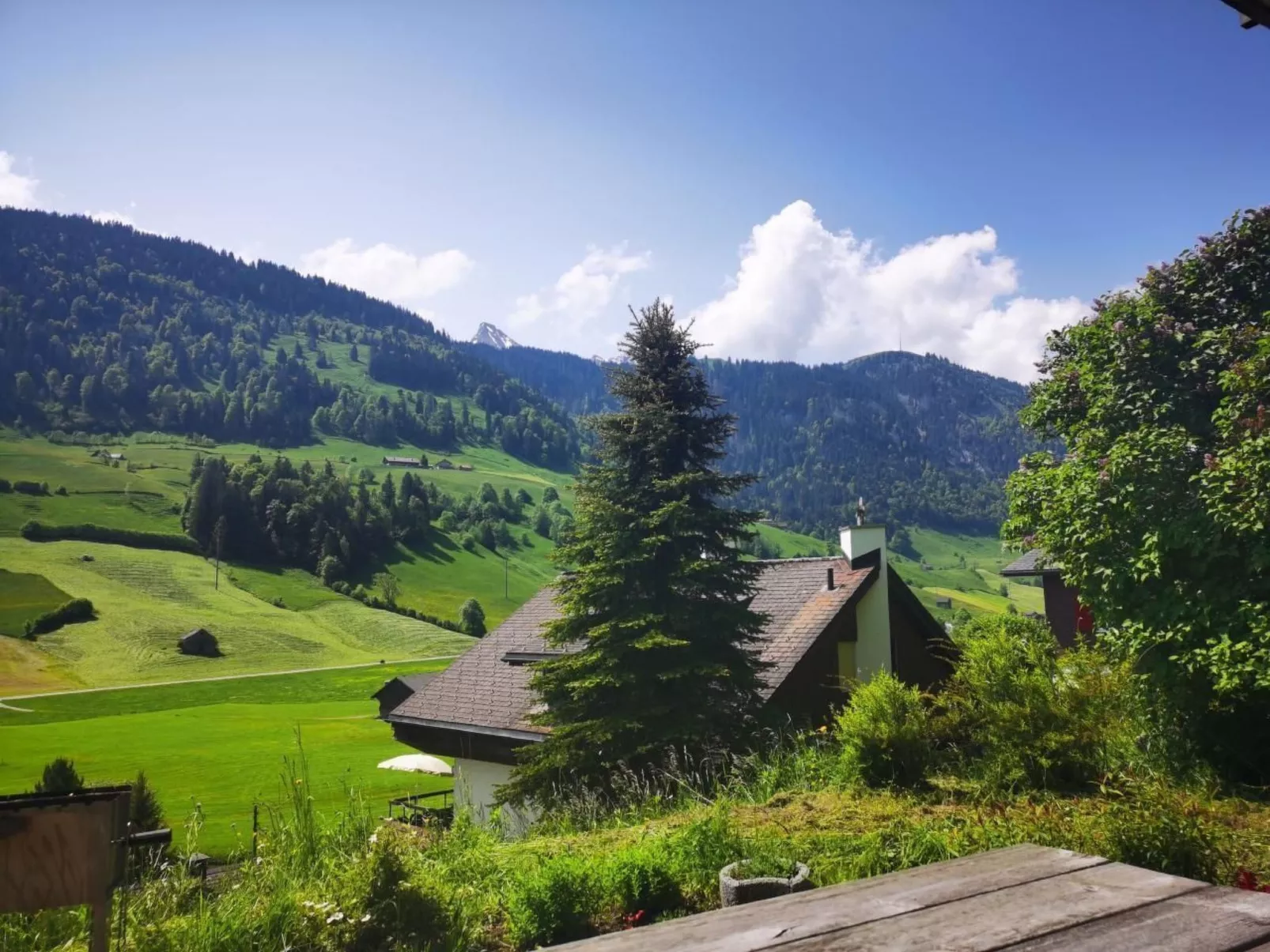 WILOMA Ferienwohnung-Image-tags.info