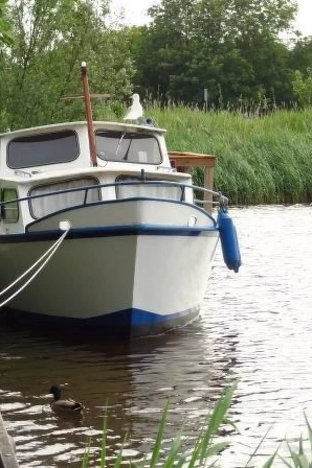 "Der Austernfischer"-Buiten