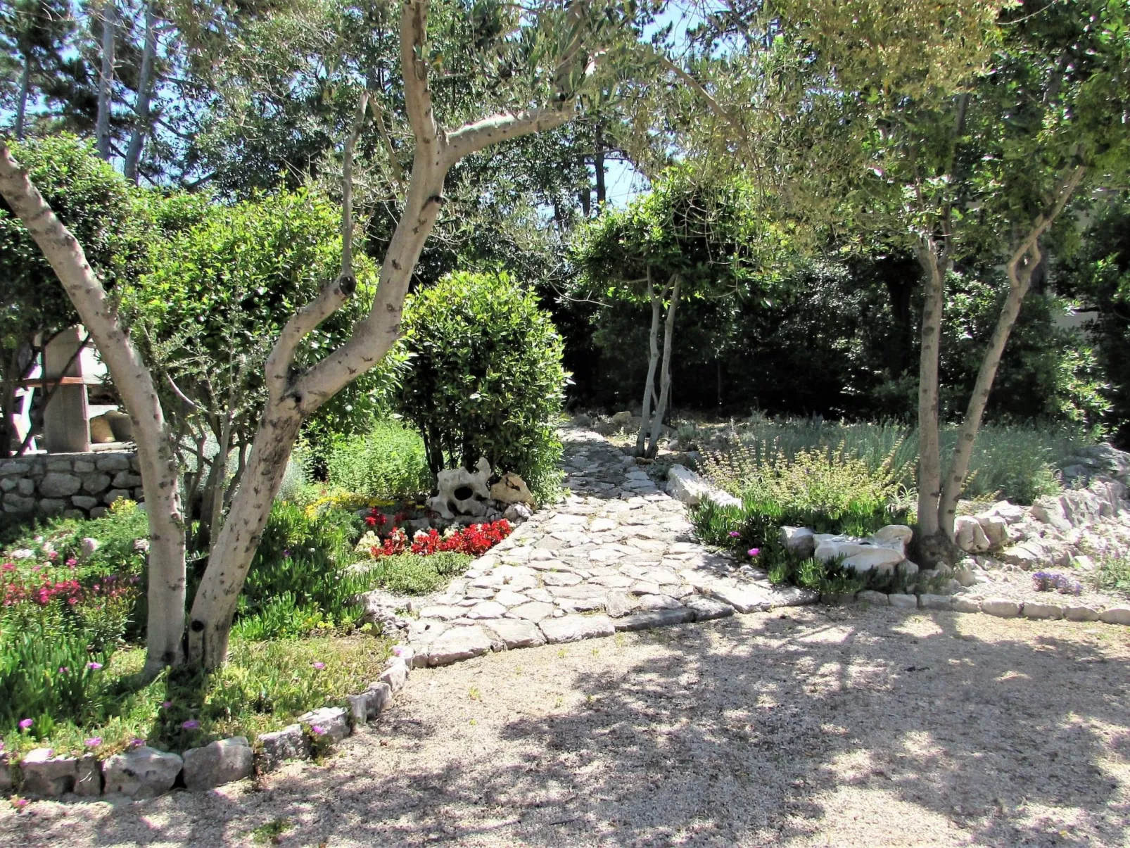 Apartment Zeljka-Image-tags.info