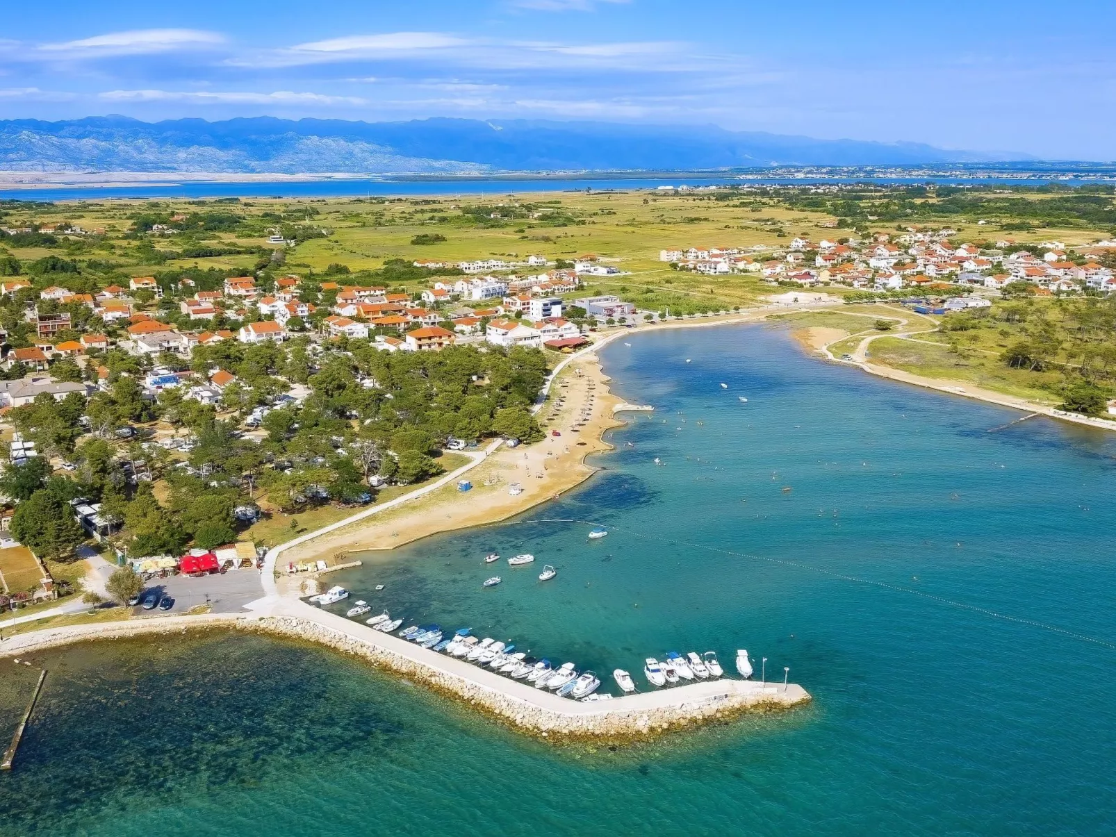 "Delfin prizemlje" - Image-tags.info