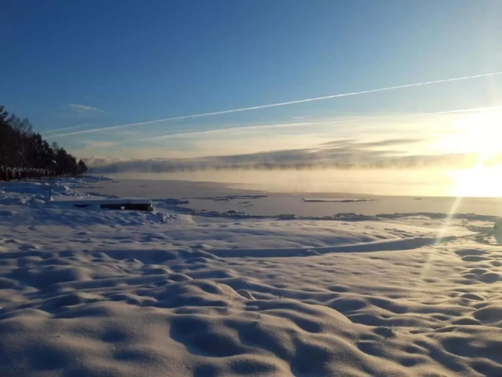 Gunilla-Image-tags.info