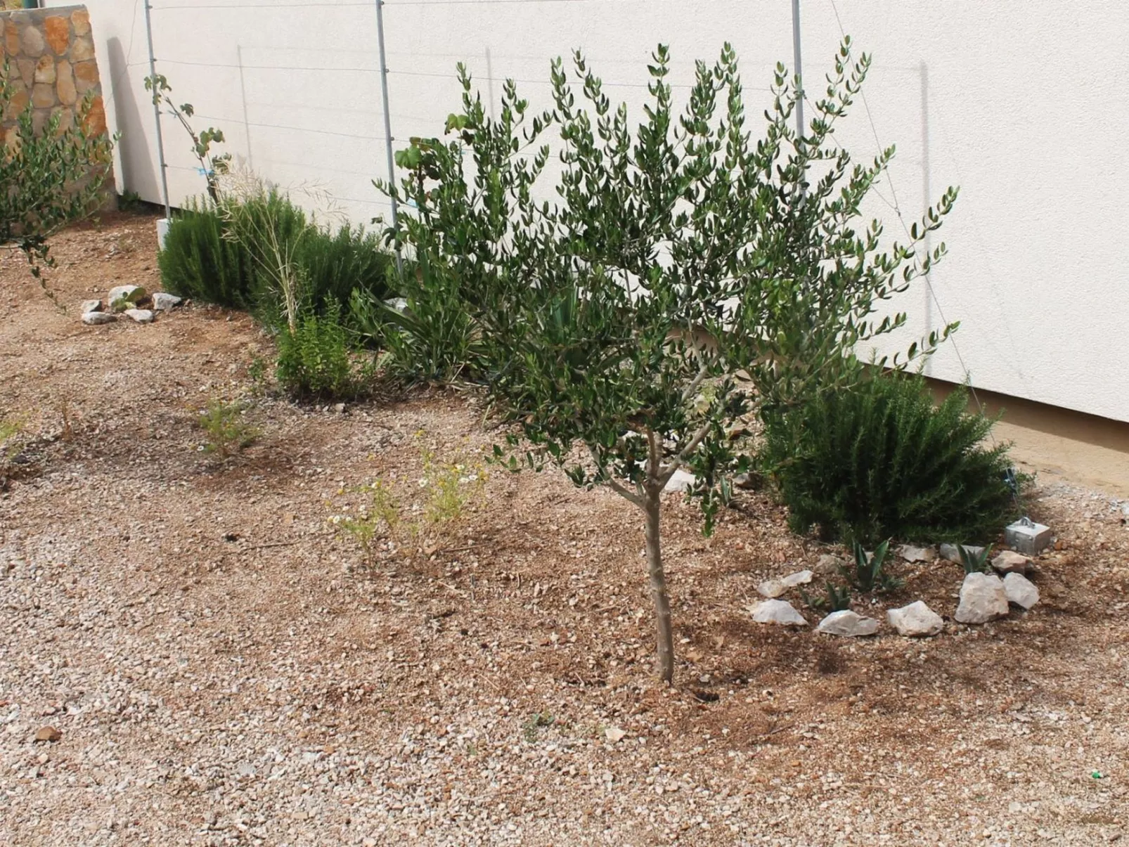 "Gubo1" mit Blick auf das Wasser-Buiten