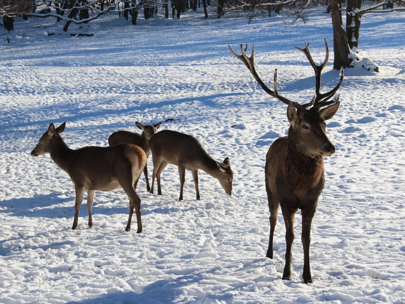 Villa Silberborn A10 - Buiten