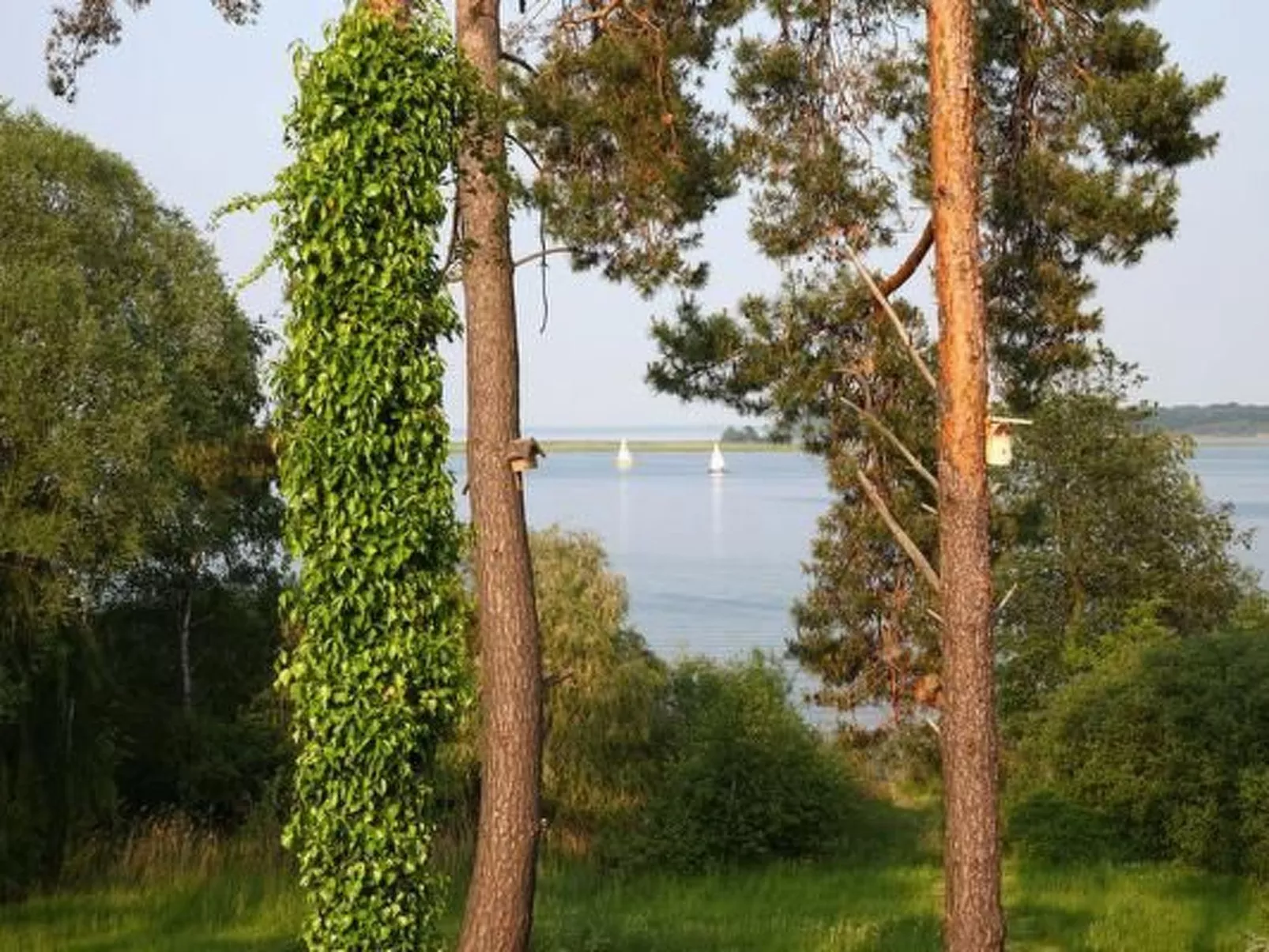 Müritzblick 35-Buiten