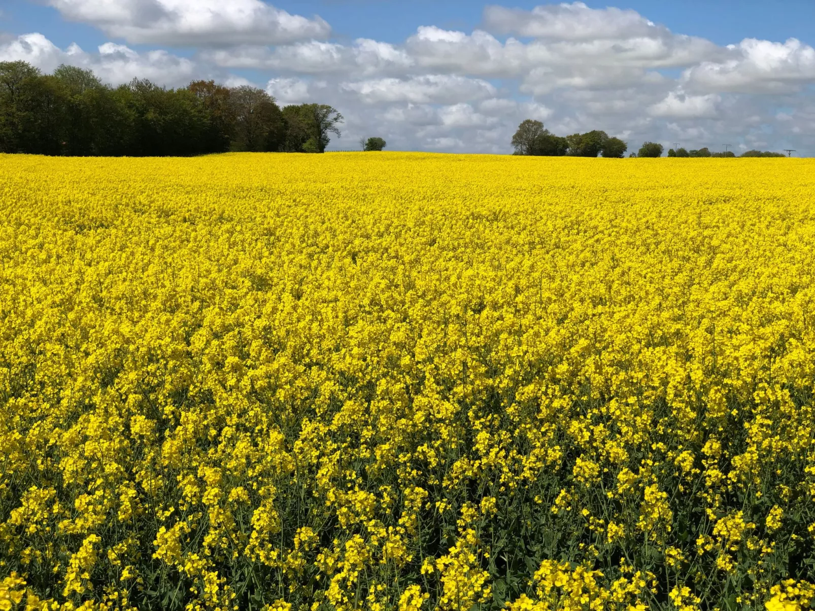 Dat Lütje 516-Buiten