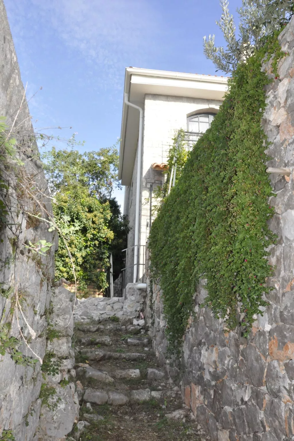 In Zelinika mit Großer Terrasse-Image-tags.info