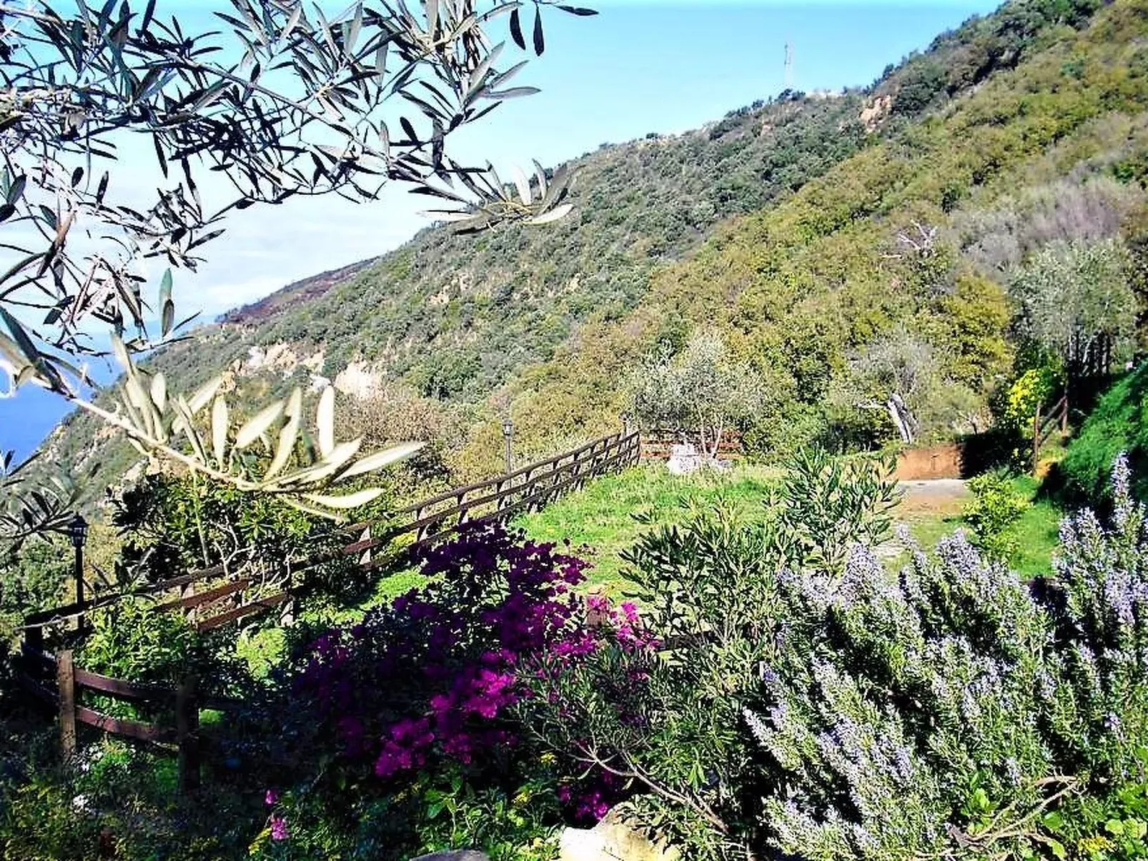 Granatapfel-Wohnung-Buiten