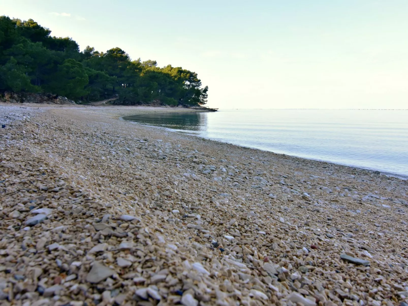 ALBINA STUDIO 5 - Buiten