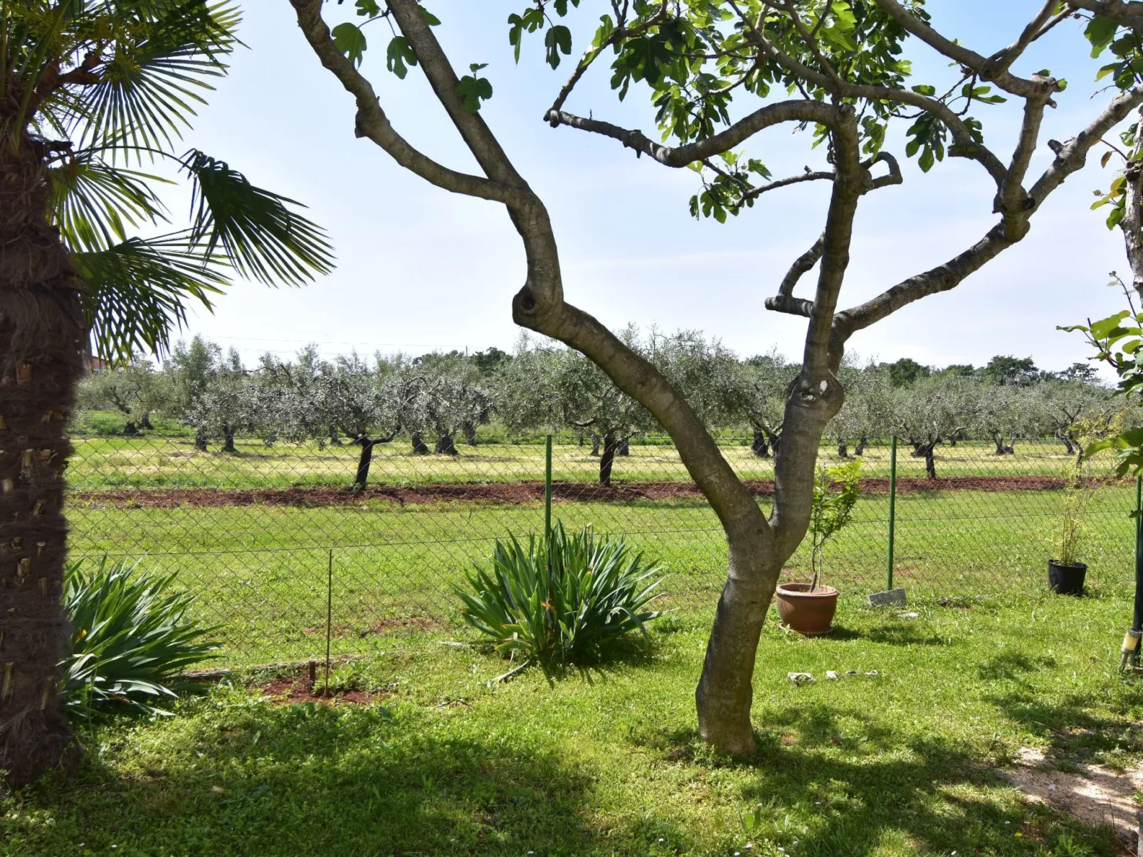 Geräumige Kellerwohnung in der Nähe von Umag-Image-tags.info