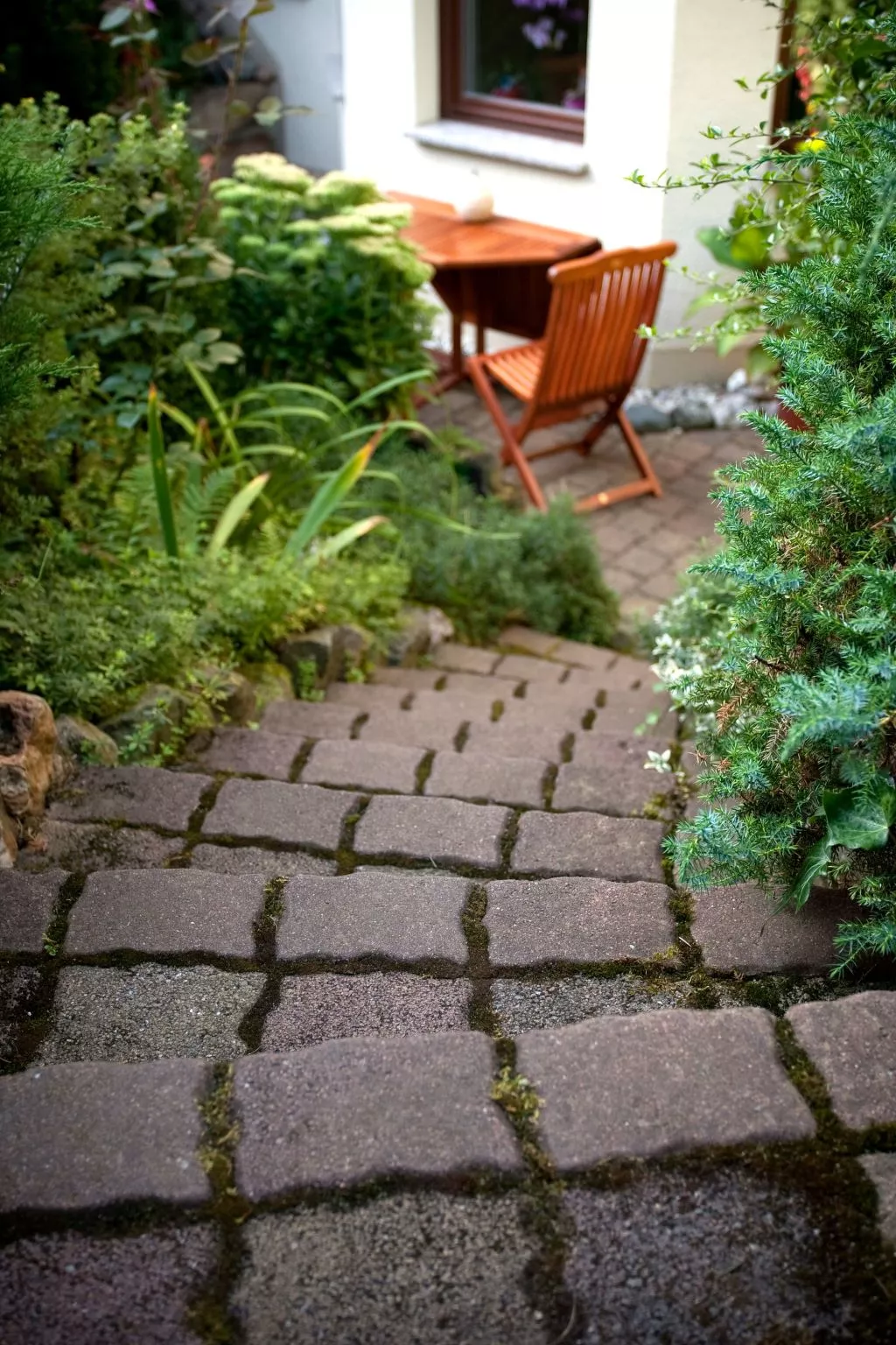 Fewo Ginkgo-Image-tags.info