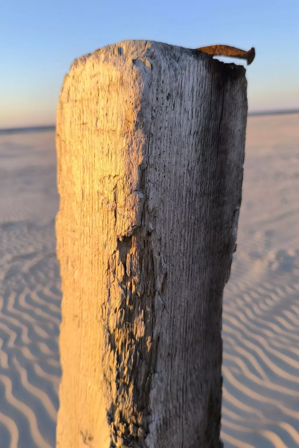  in Marienhafe-Buiten