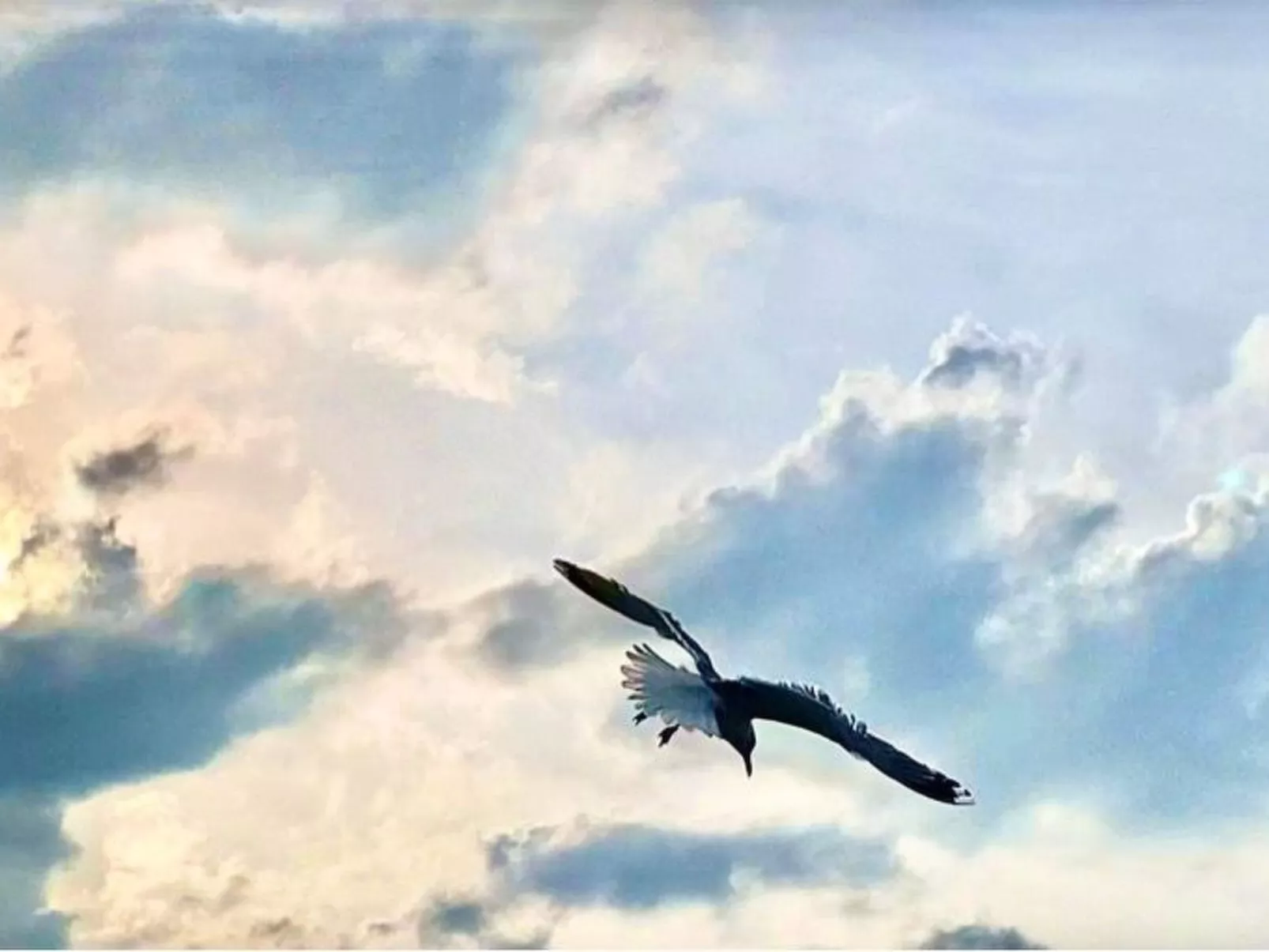 Altes Pastorenhus-Image-tags.info