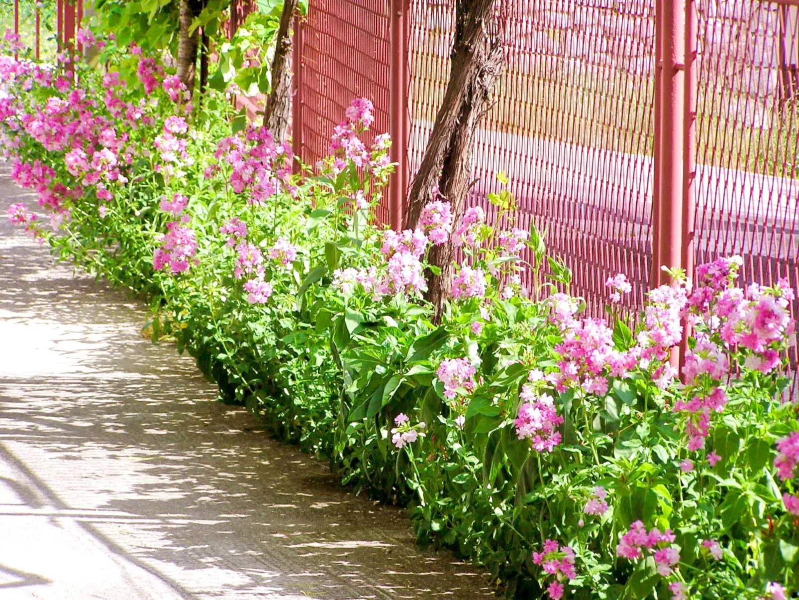 Holiday House Jure-Image-tags.info