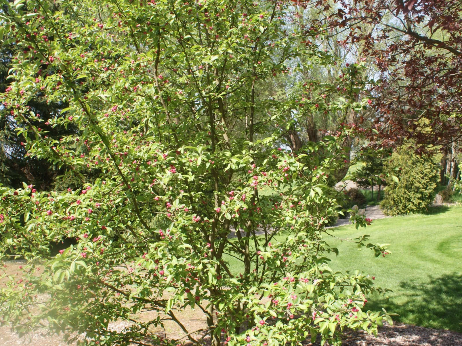 Ruhe am Meer - Ferienhäuser in den Gärten von Magra-Buiten