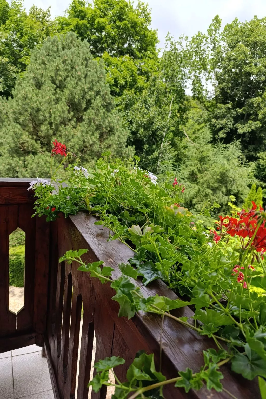 Wohnung Nr. 1-Buiten