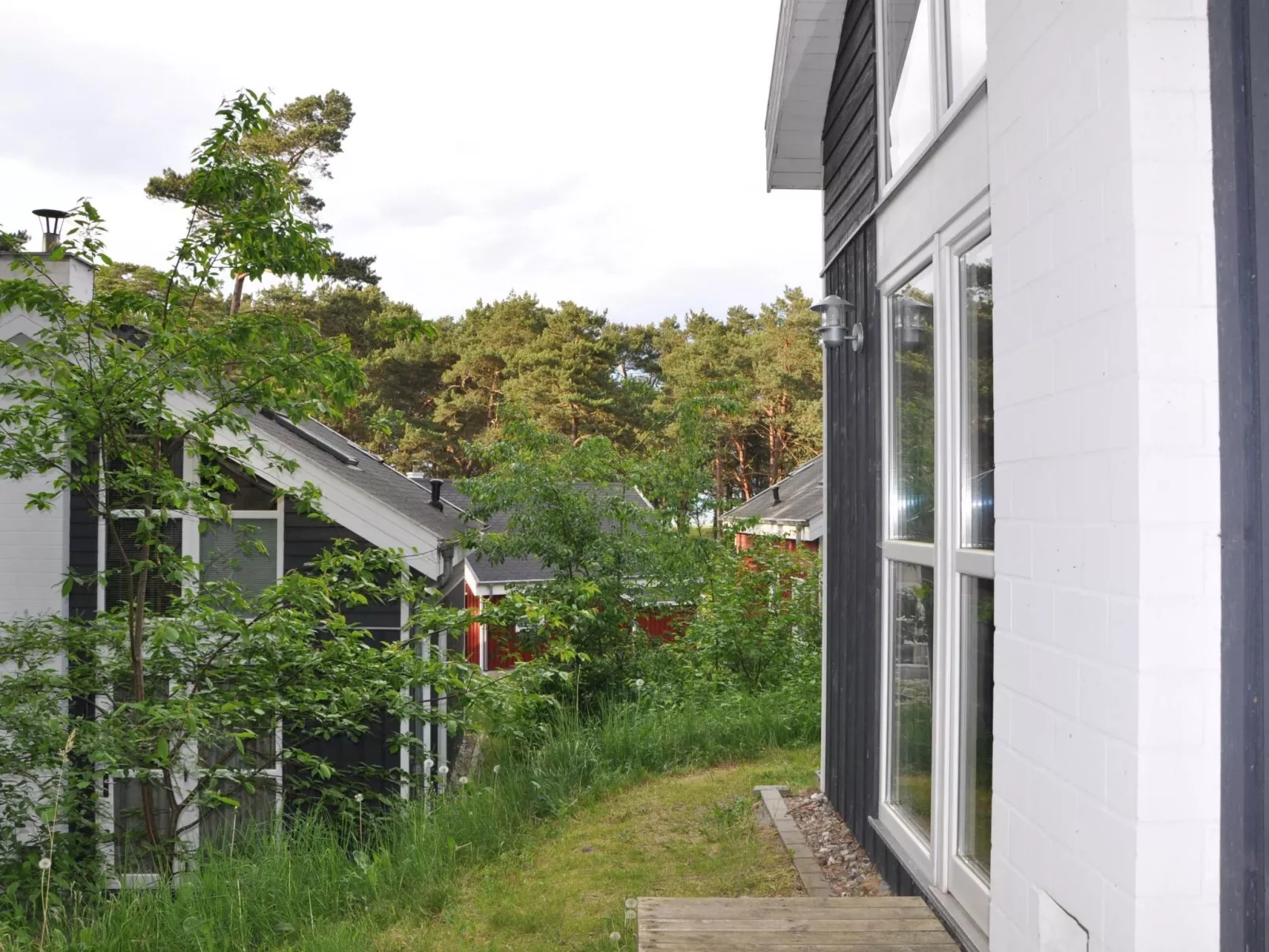 Freistehendes Ferienhaus direkt an der Ostsee-Image-tags.info