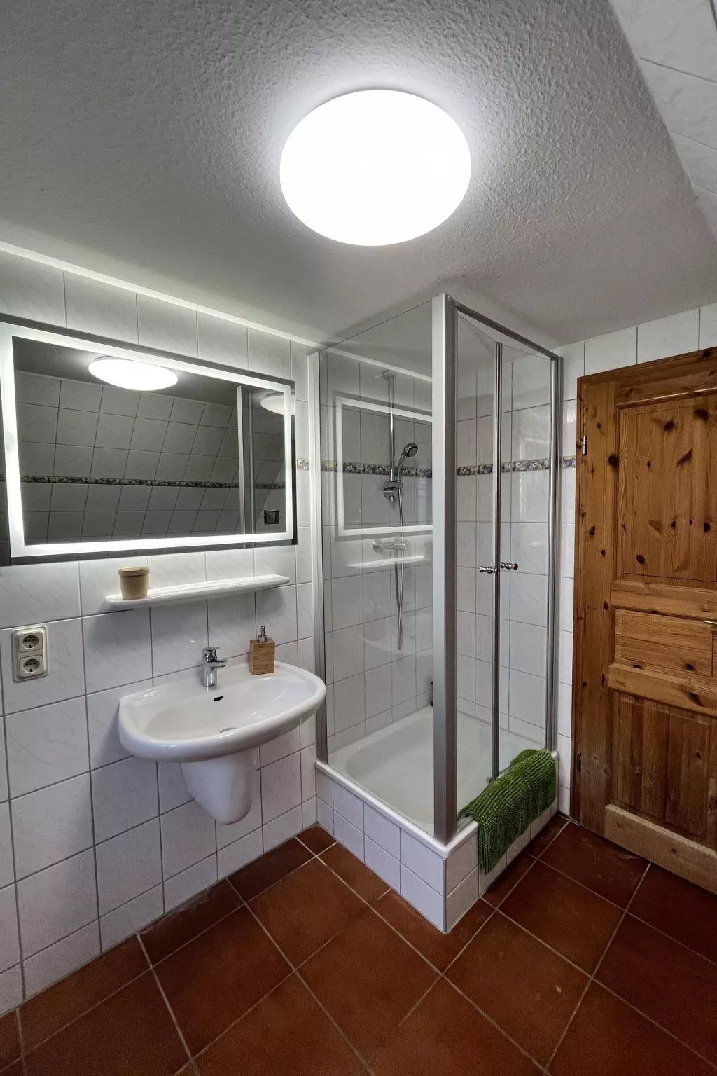 Gans in Ummanz-Lüßvitz-Binnen