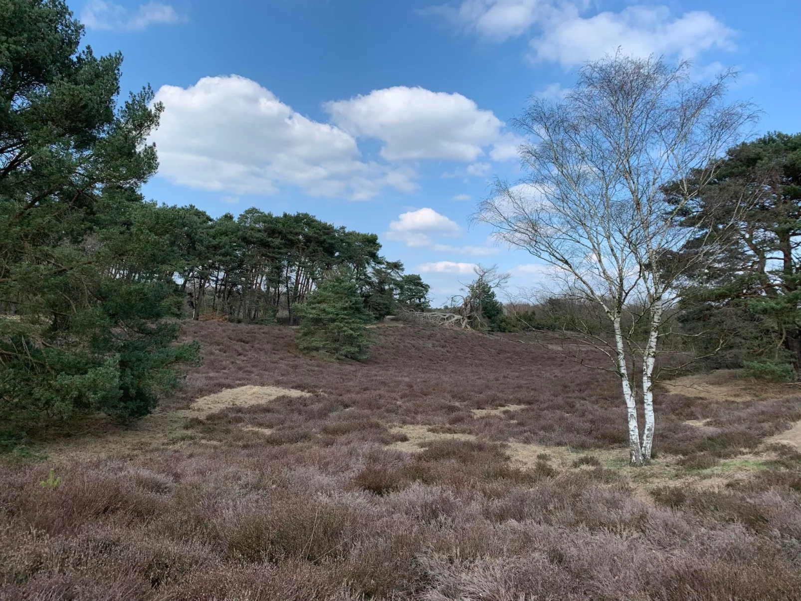 Mit eigener Terrasse-Buiten