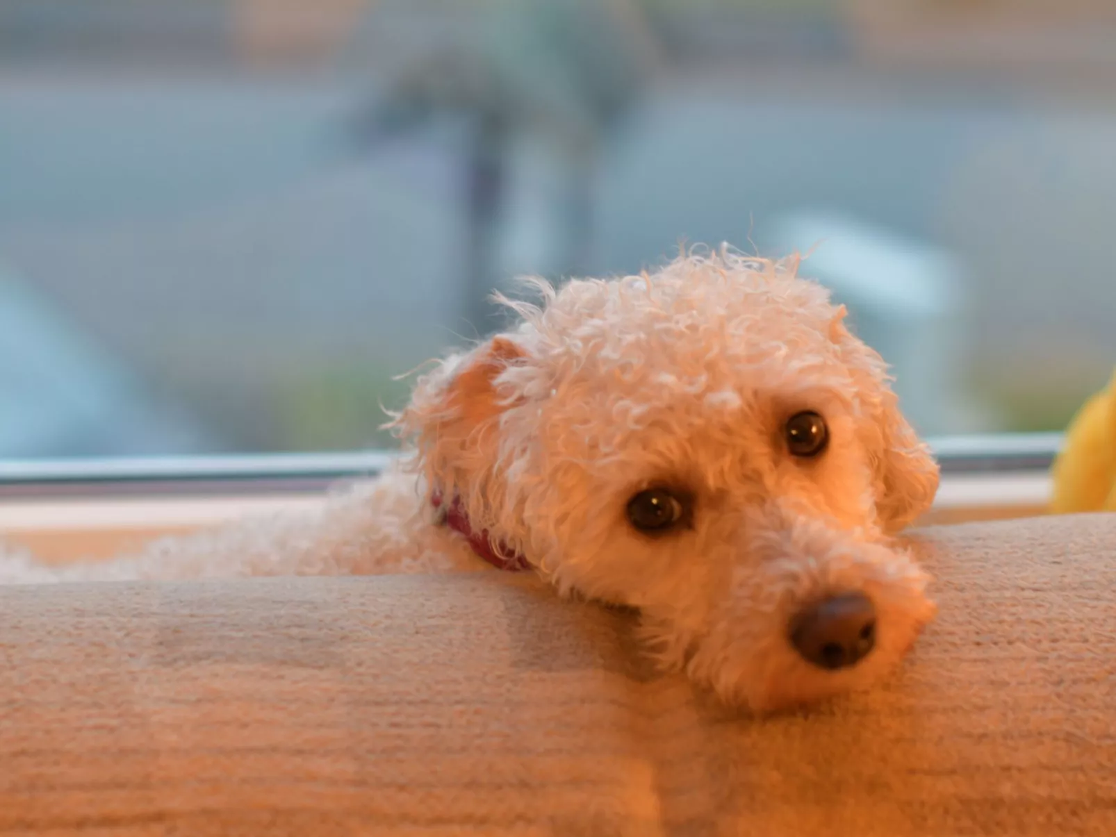 Mit Garten und Spielplatznutzung-Binnen