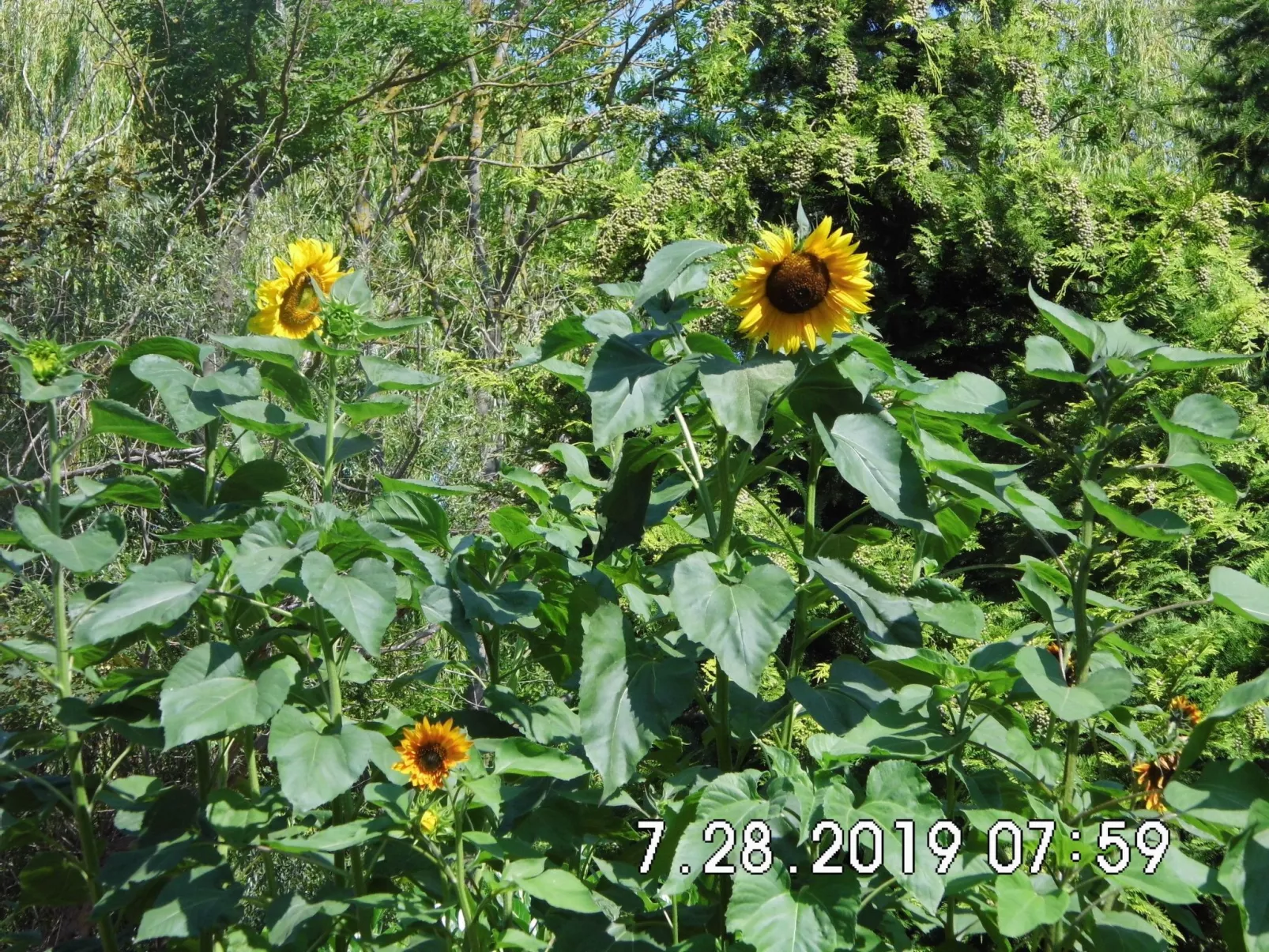 Am malerischen Nepperminer See-Buiten
