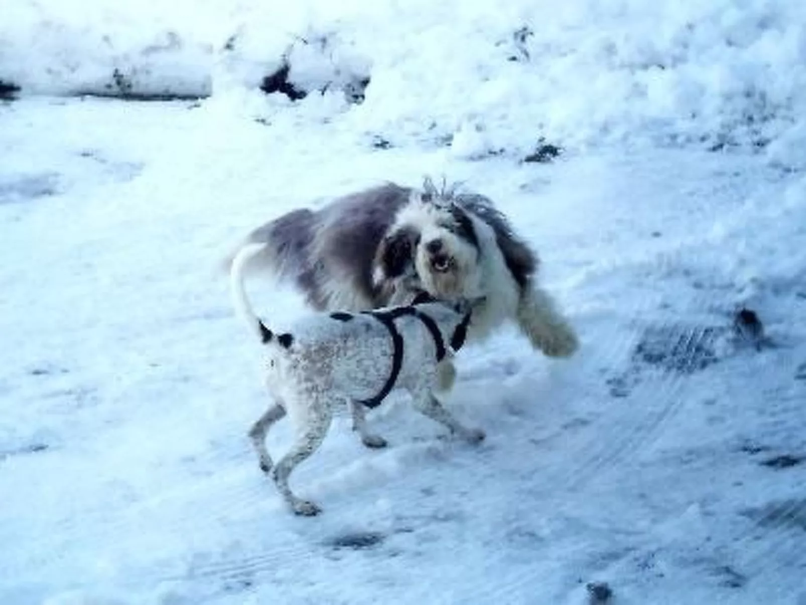 Falkenberg Wh 211-Buiten