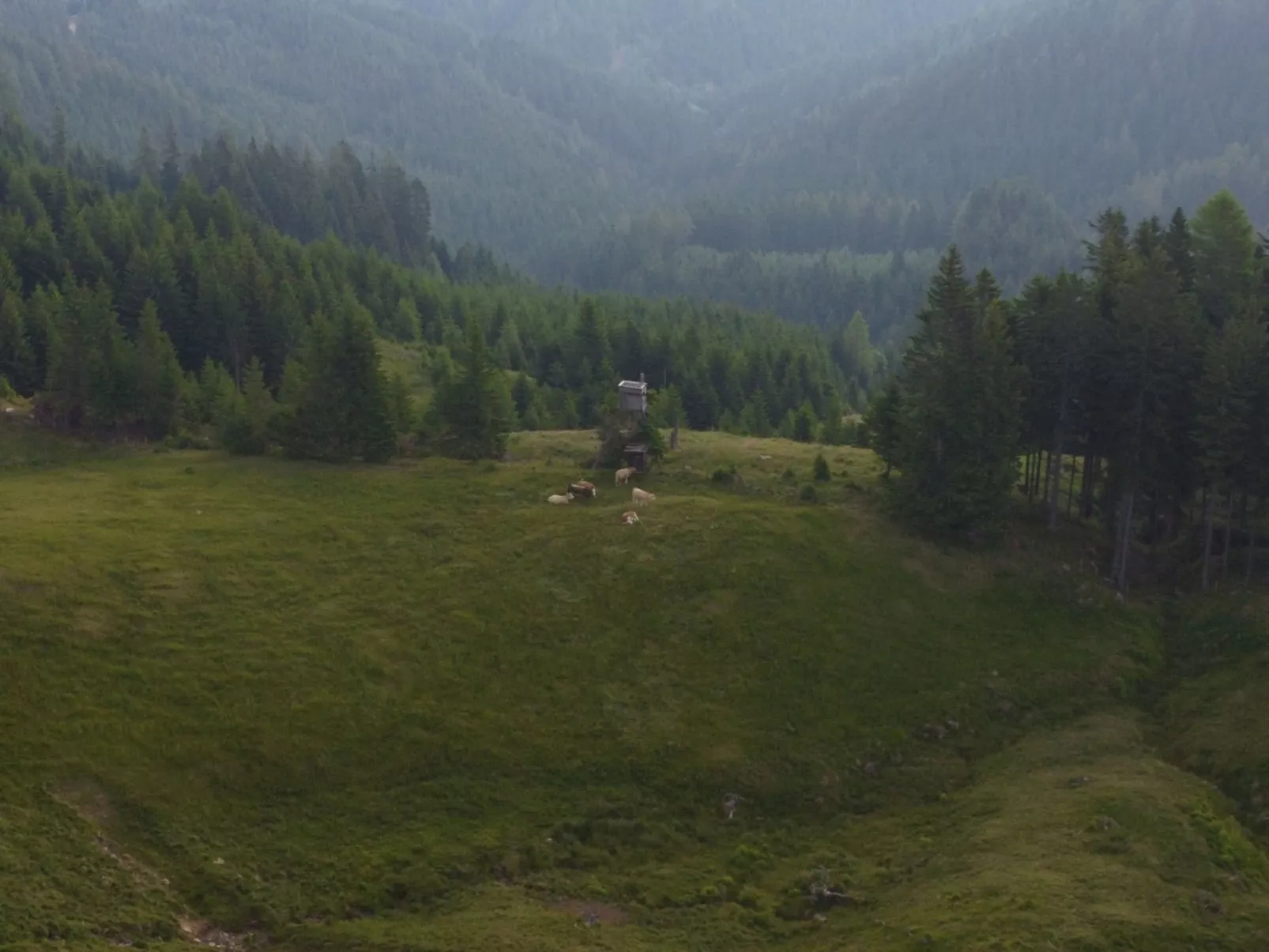 Alpentraum in Klippitztörl-Buiten