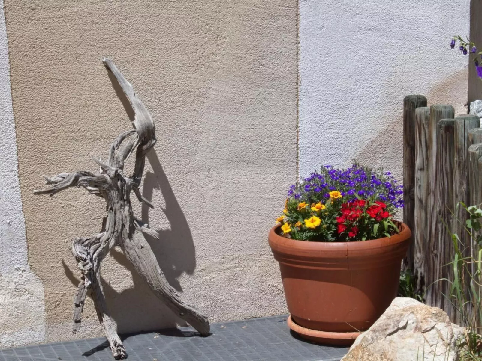 Chardun-Image-tags.info