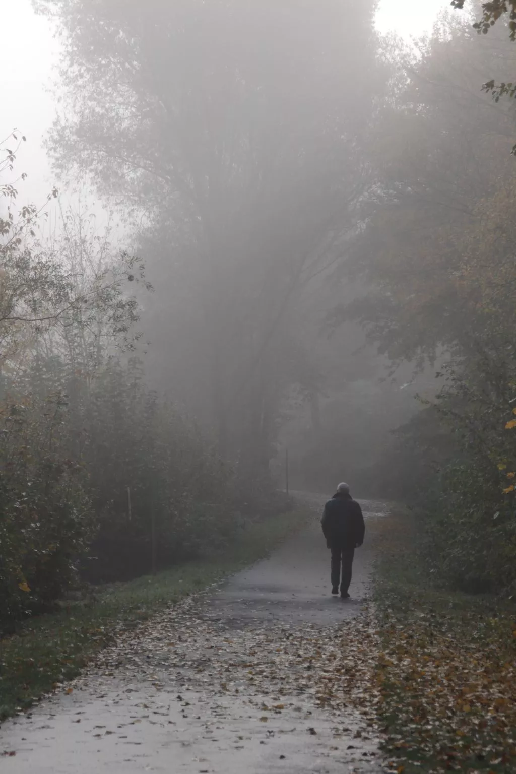 BärenNest Haus-Buiten
