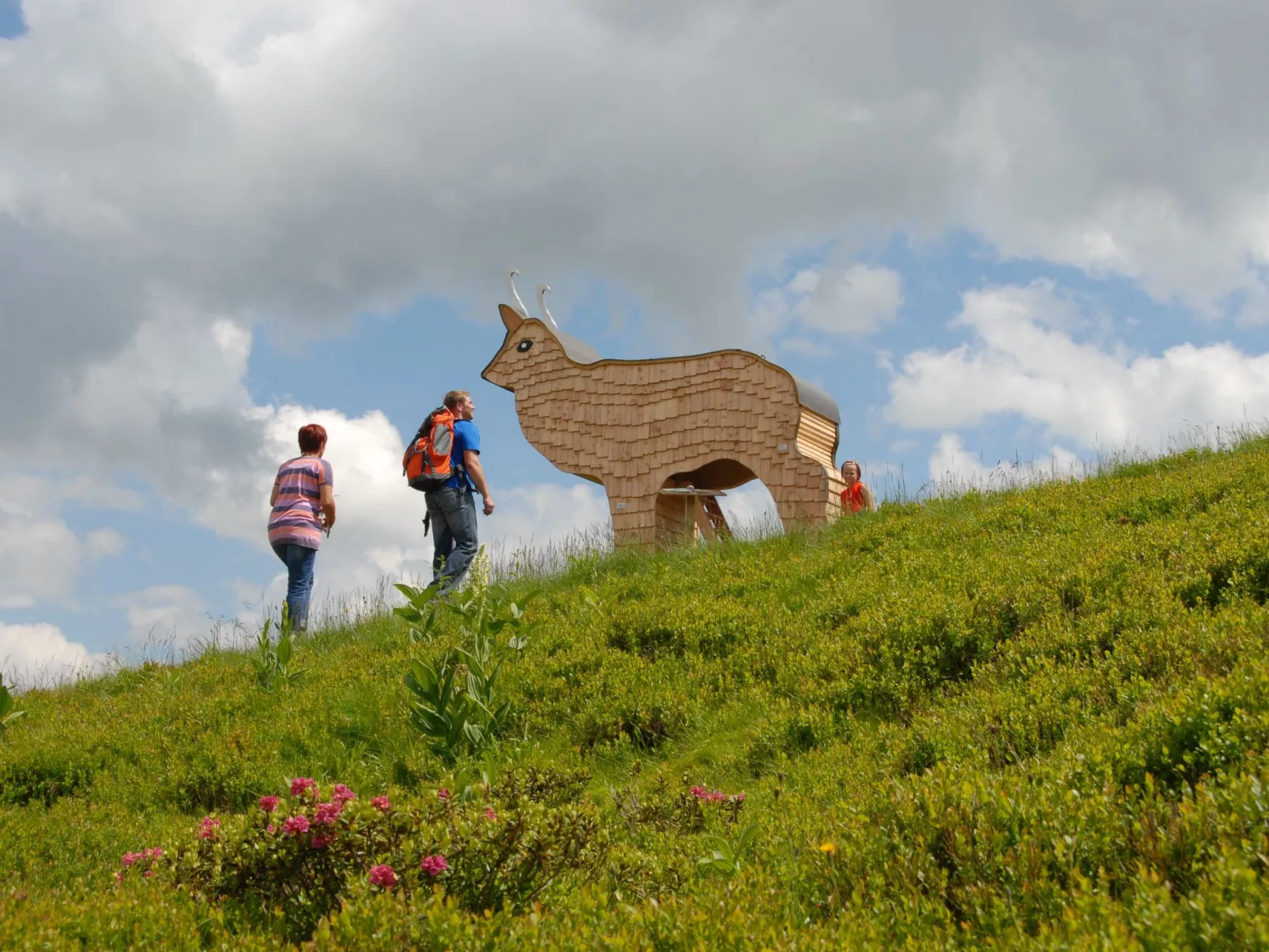 Ferienwohnungen Hohl-Binnen