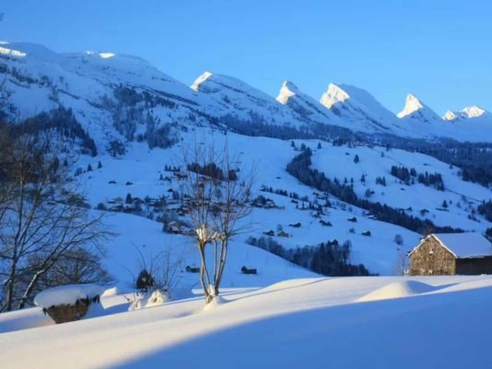 Casa Uccello-Image-tags.info