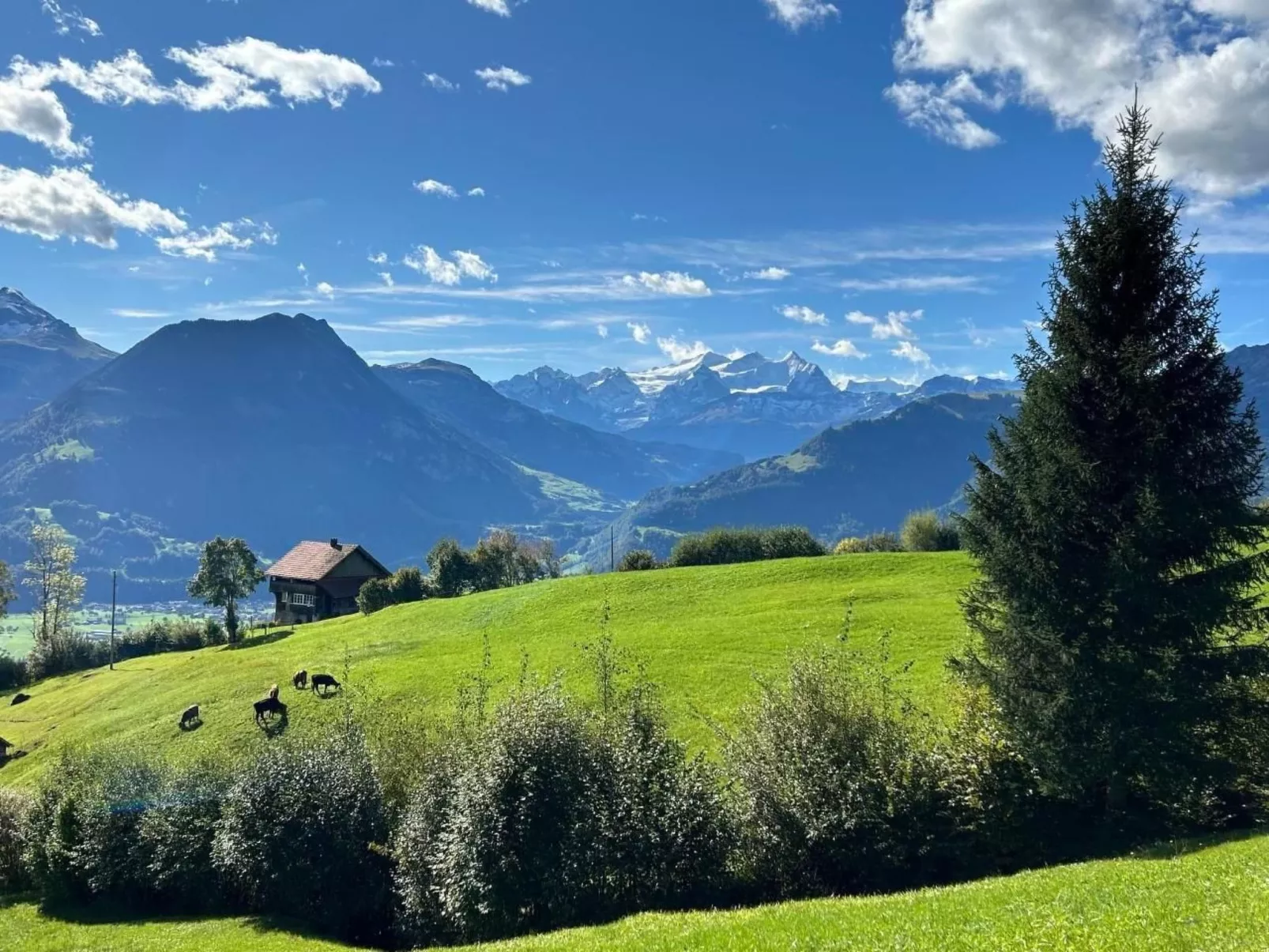 Stockenmatt Haus 2, Wohnung 22 - Buiten