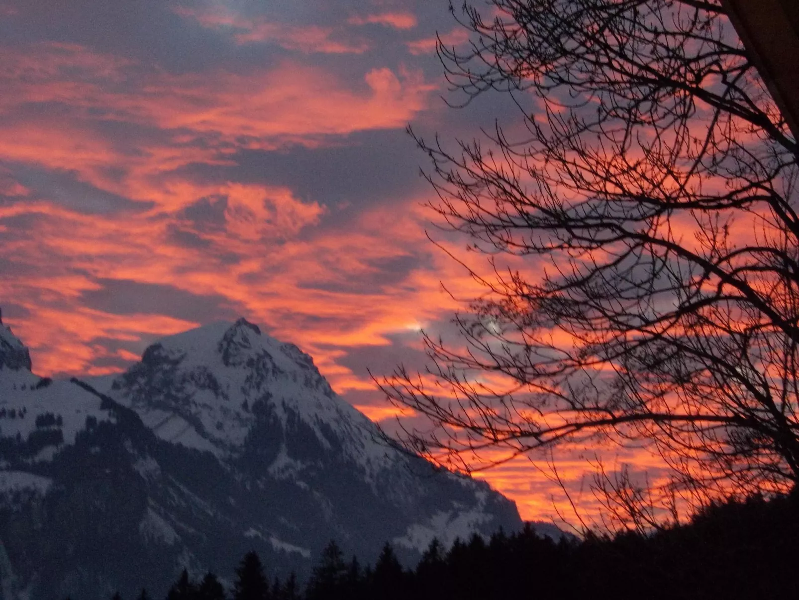 FeWo Zenger-Jossi-Buiten