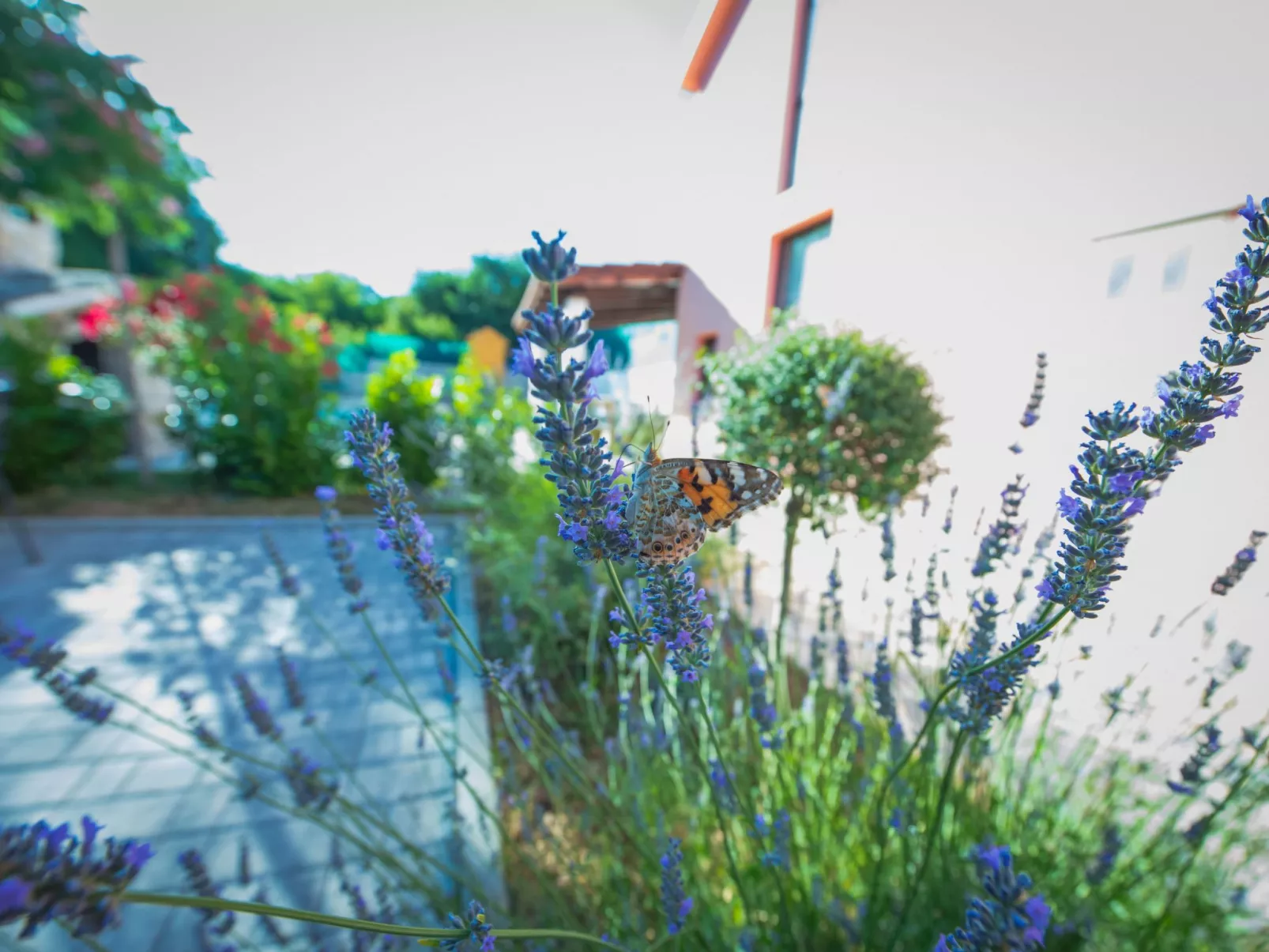 Haus in Grubine mit Außenpool-Buiten