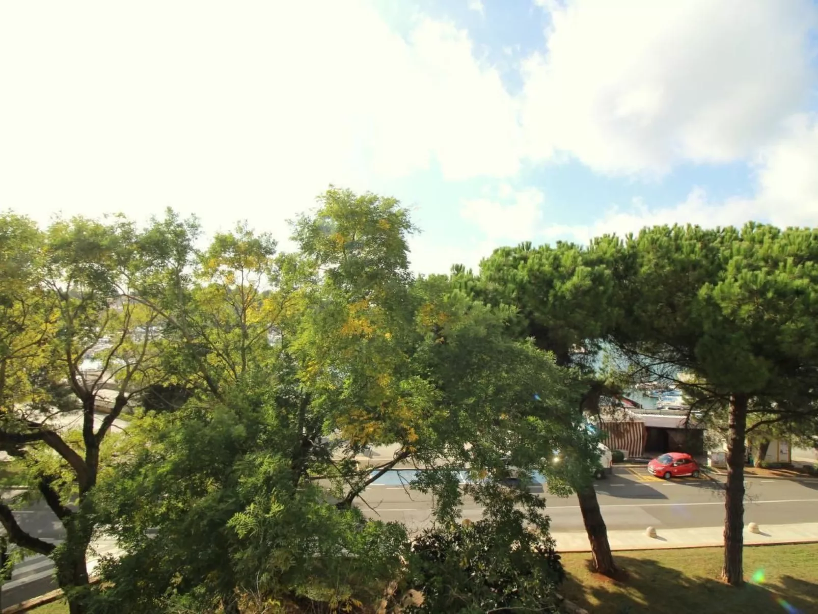 Agata-Image-tags.info