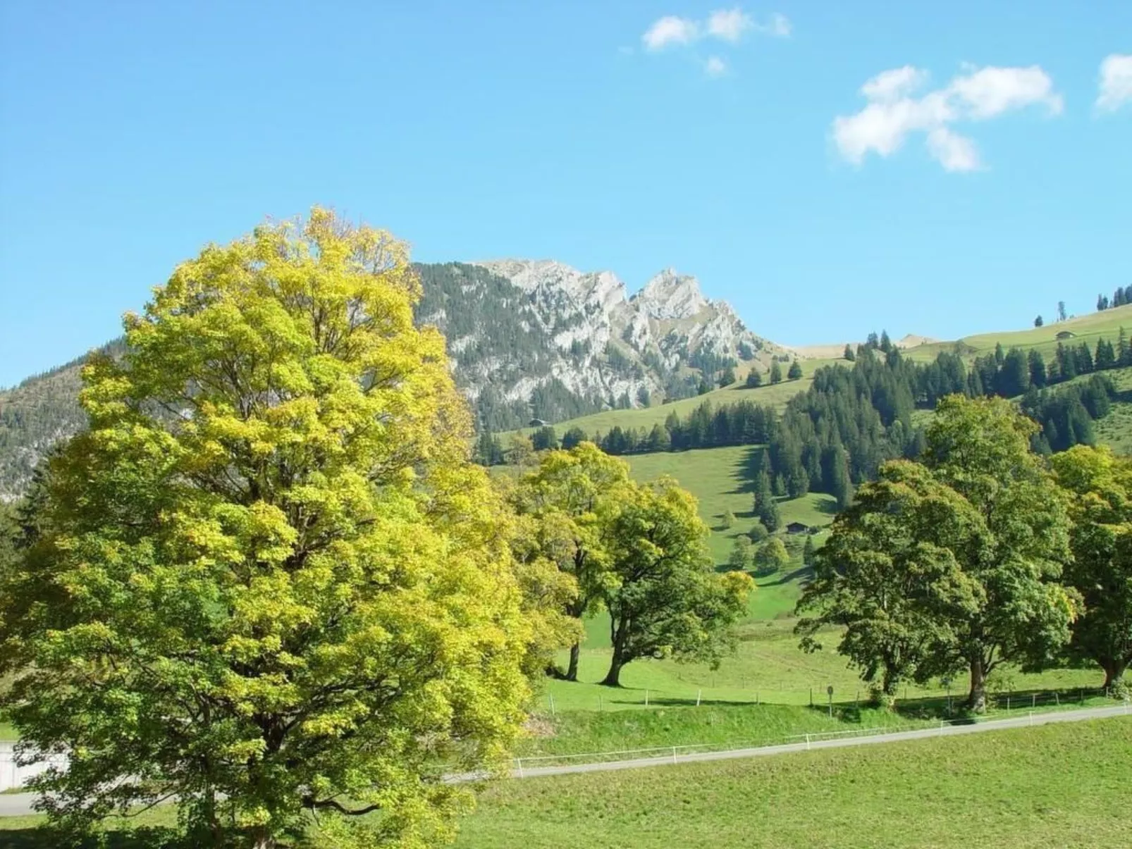 Appartement Eggmatte - Buiten