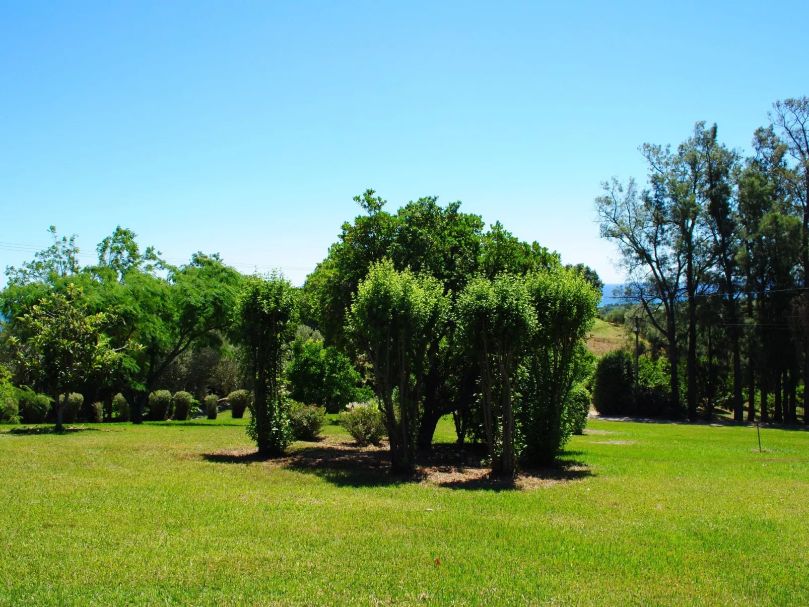 Weingut Punta della Guardia Panorama von Macchia und Meer-Buiten