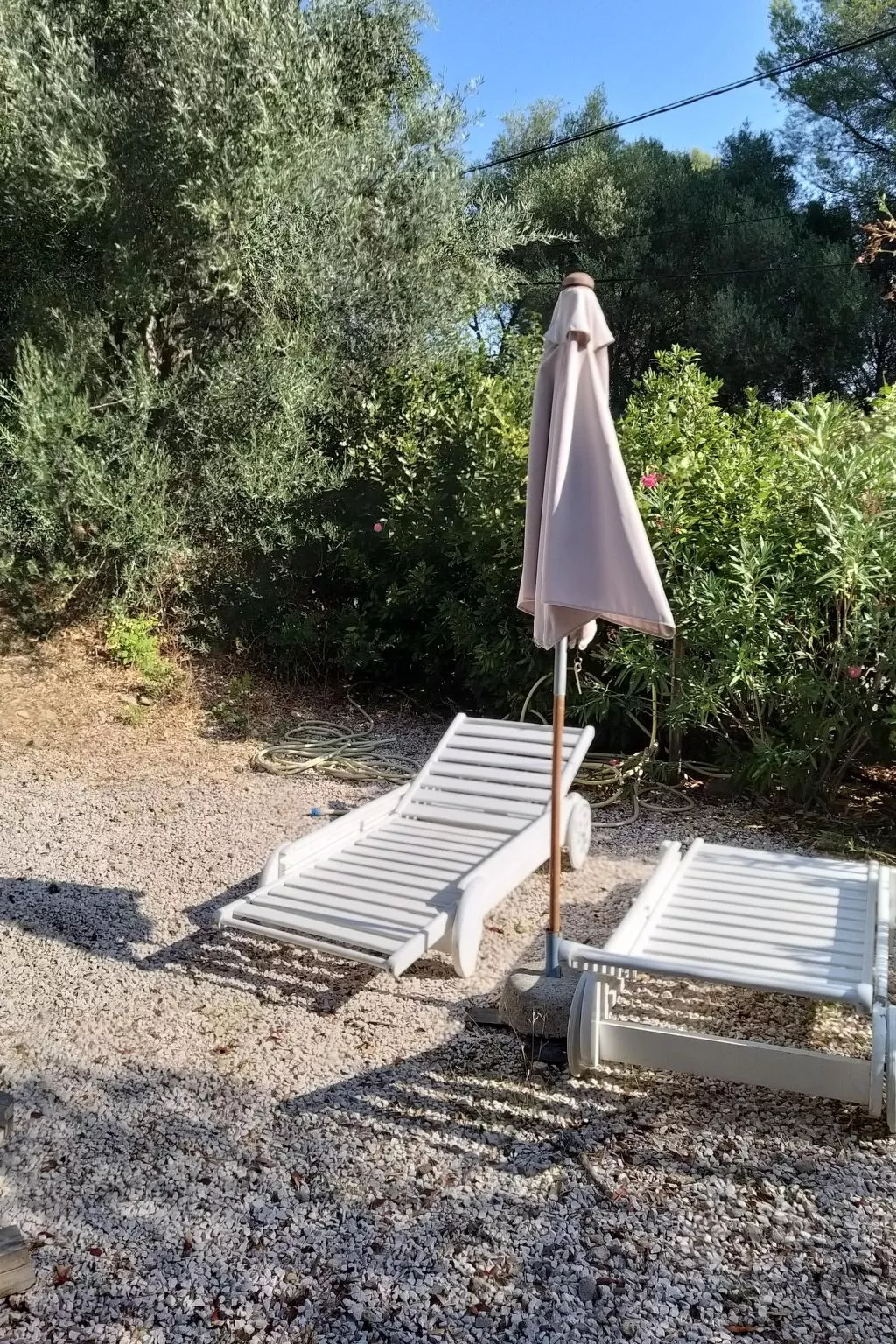 Mit Terrasse, mitten in der Natur-Buiten