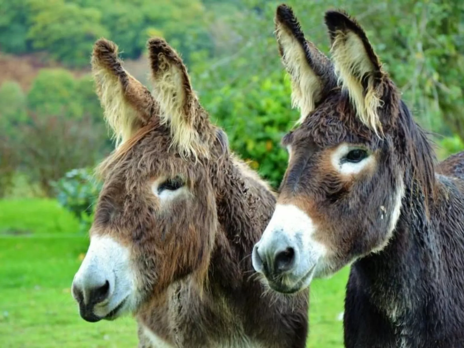 URSUYA-Image-tags.info