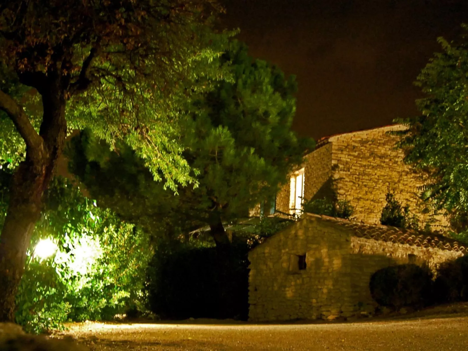 Cypres du Paradis-Image-tags.info