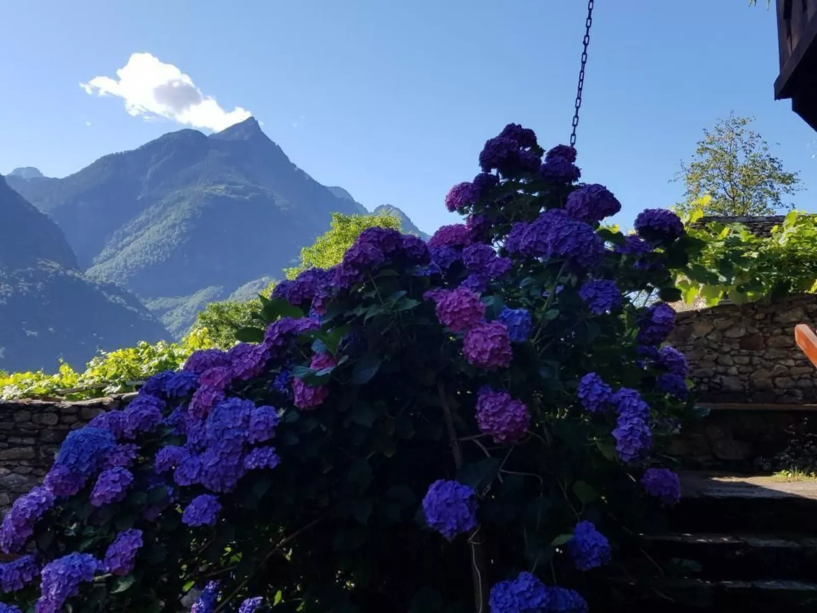 Casa Giardino Grande-Image-tags.info