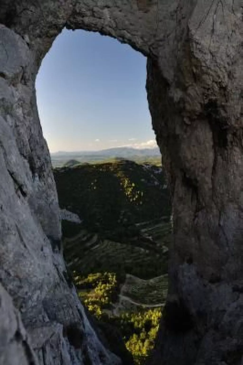 "Haus der Olivenbäume"-Image-tags.info