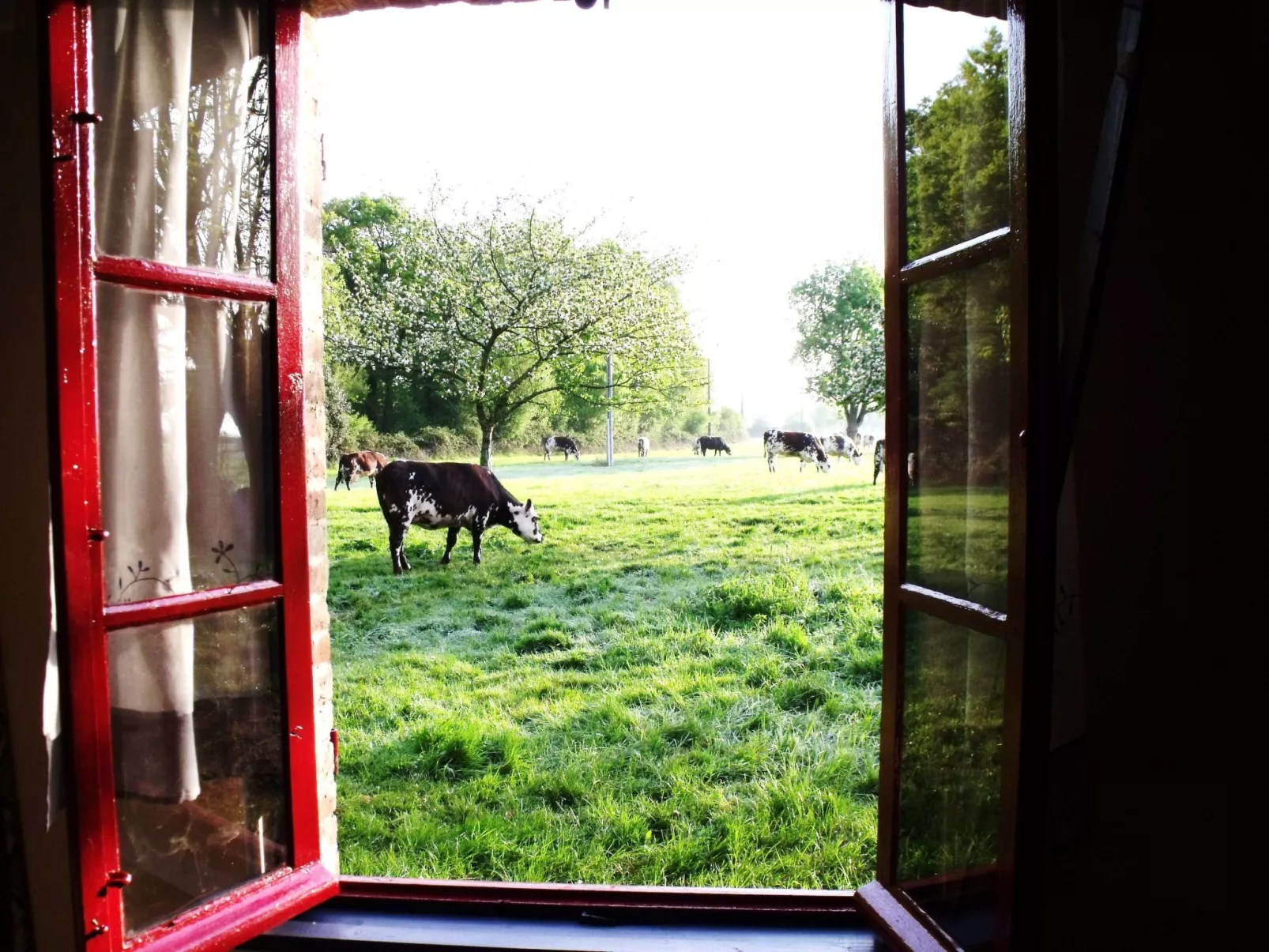 "La Petite Cauvinière"-Buiten