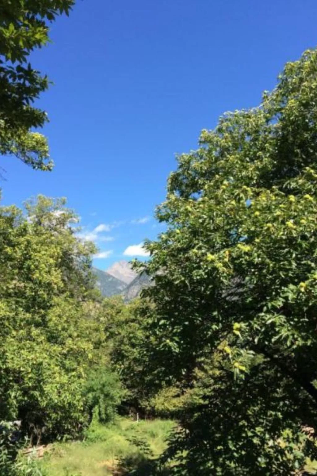 Weg von der Zuvielisation-Buiten