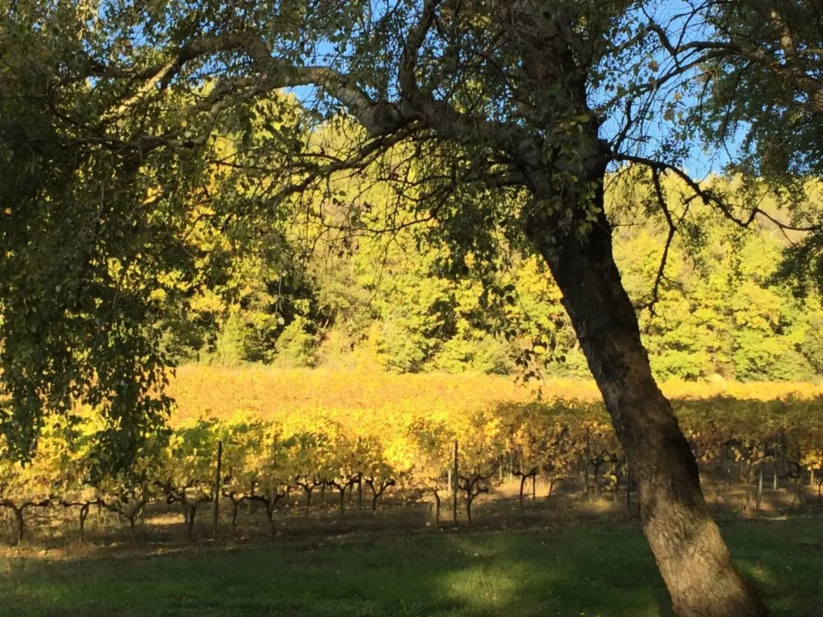 "Eutherpes Haus"-Buiten