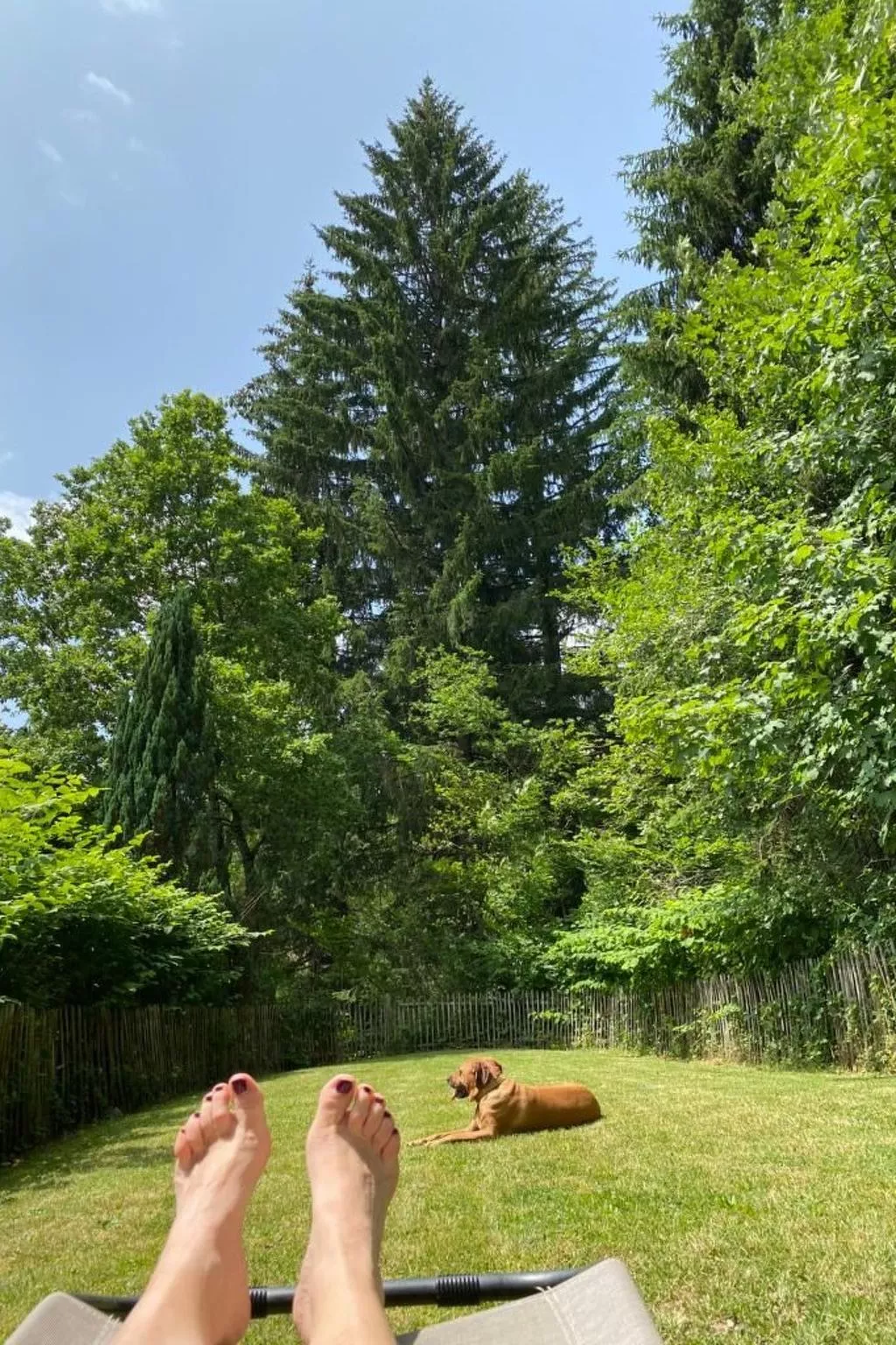 In Ventron mit eingezäuntem Garten-Buiten